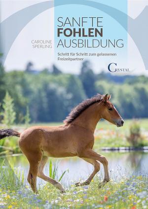 Book cover of Sanfte Fohlenausbildung