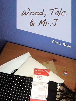 Cover of the book Wood, Talc and Mr. J by Angie Mienk
