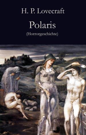 Cover of the book Polaris by Jan Zenker