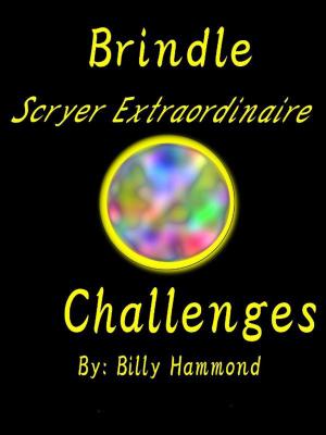 Book cover of Brindle - Scryer Extraordinaire - Challenges