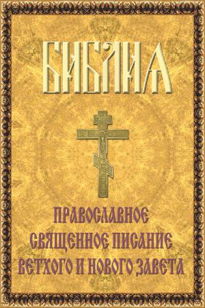 Cover of the book Библия by Мараев Максим, Ступишин Сергей