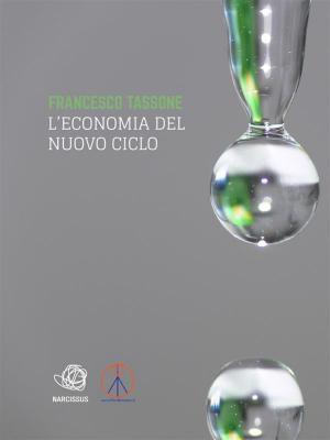 Cover of the book L'economia del nuovo ciclo by Bruce Sterling