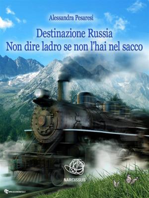 Cover of the book Destinazione Russia Non dire ladro se non l'hai nel sacco by David Gordon