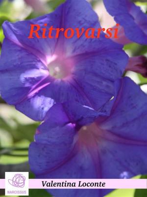 bigCover of the book Ritrovarsi by 