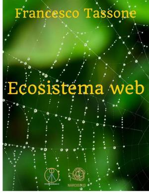 Book cover of Ecosistema Web