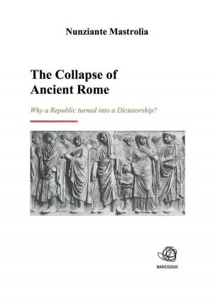 Book cover of The Collapse of Ancient Rome
