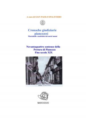 Cover of the book Cronache giudiziarie pianezzesi-marachelle e malefatte dei nostri nonni by Gian Paolo Spaliviero
