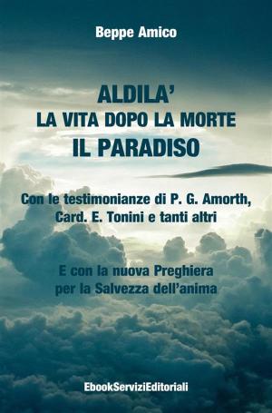 Book cover of ALDILA’ – la vita dopo la morte - IL PARADISO - Con le testimonianze di P. G. Amorth, Card. E. Tonini e tanti altri - E con la nuova Preghiera per la Salvezza dell’anima