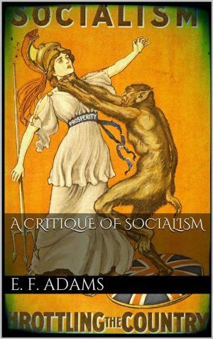 Cover of the book A Critique of Socialism by Tom Landon