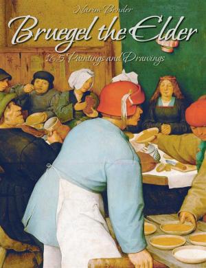 Book cover of Bruegel the Elder: 165 Paintings and Drawings