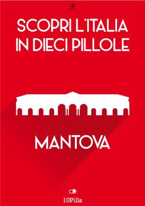Cover of Scopri l'Italia in 10 Pillole - Mantova