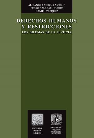 Cover of the book Derechos humanos y restricciones: Los dilemas de la justicia by Rigoberto López y Quezada