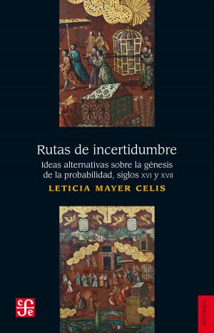 Cover of the book Rutas de incertidumbre by María Baranda