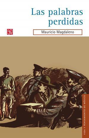Cover of the book Las palabras perdidas by Marta Eugenia García Ugarte, Alicia Hernández Chávez, Yovana Celaya Nández