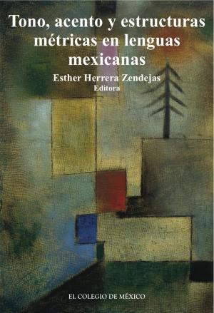 Cover of the book Tono, acentos y estructuras métricas en lenguas mexicanas. by Fernando Corté, Orlandina de Oliveira