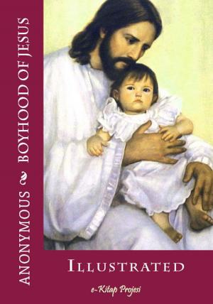 Cover of the book Boyhood of Jesus by John Timbs