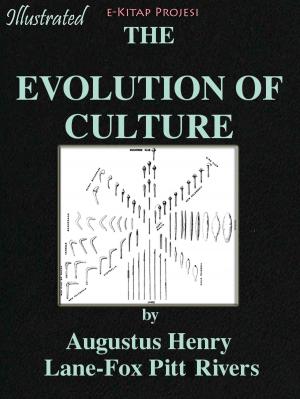 bigCover of the book Evolution of the Culture by 