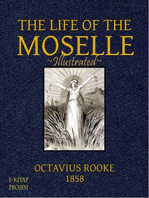 Cover of the book Life of the Moselle by James Baldwin