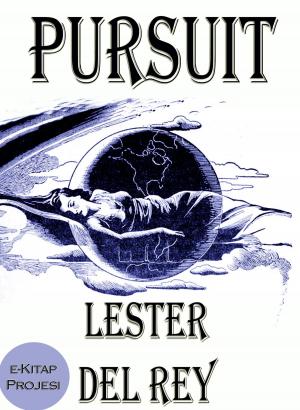 Cover of the book Pursuit by Rita Villa
