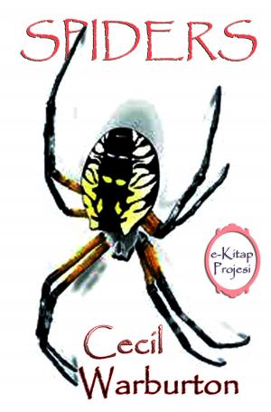 Cover of the book Spiders by Anson K. Cross