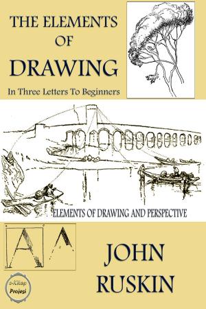 Cover of the book The Elements of Drawing by Daniel Burleigh Parkhurst