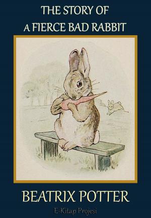 Book cover of The Story of a Fierce Bad Rabbit