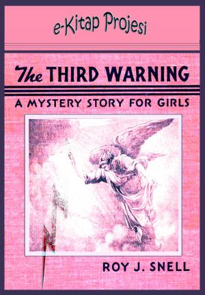 Cover of the book Third Warning by Tarkan Özhan