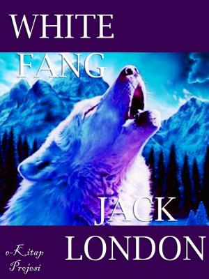 Cover of the book White Fang by John H. Cady, Basil Woon