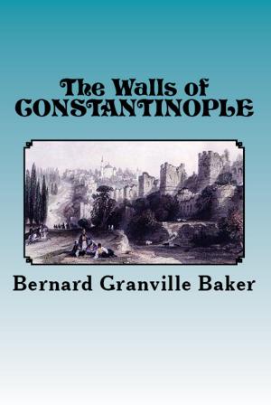 bigCover of the book The Walls of Constantinople by 