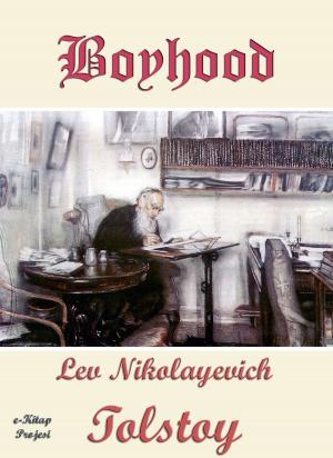 Cover of the book Boyhood by Edward E. Hale