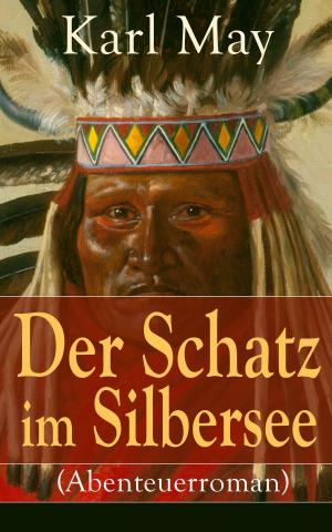 Book cover of Der Schatz im Silbersee (Abenteuerroman)
