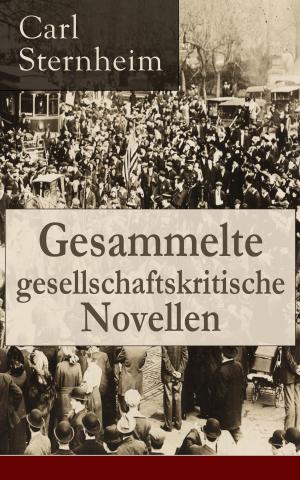Cover of the book Gesammelte gesellschaftskritische Novellen by James Fenimore Cooper