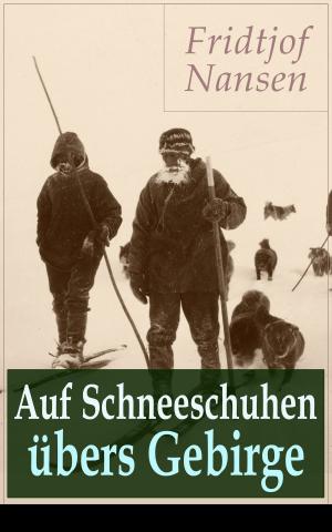 Cover of the book Auf Schneeschuhen übers Gebirge by Walter Benjamin