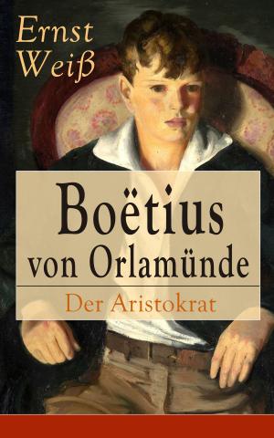 Book cover of Boëtius von Orlamünde: Der Aristokrat