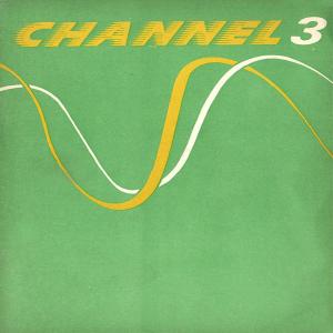 Cover of the book Channel 3 by Baby Kamble