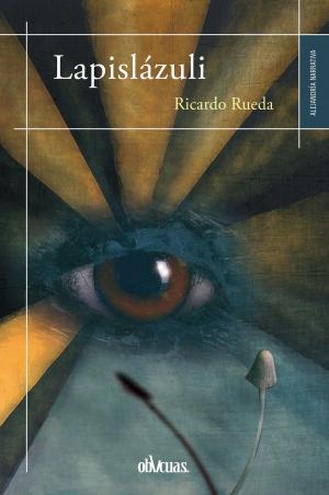 Cover of the book Lapislázuli by Mauricio Rivera