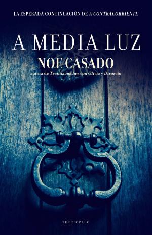 Cover of the book A media luz by Gabriel J.  Martín
