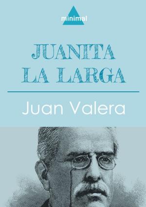 Cover of the book Juanita la Larga by Miguel De Cervantes
