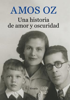 Cover of the book Una historia de amor y oscuridad by Richard Stern