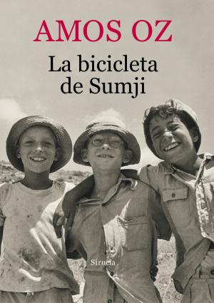 Cover of the book La bicicleta de Sumji by Carmen Martín Gaite, Ana María Moix