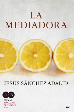 Cover of the book La mediadora by Emilio La Parra