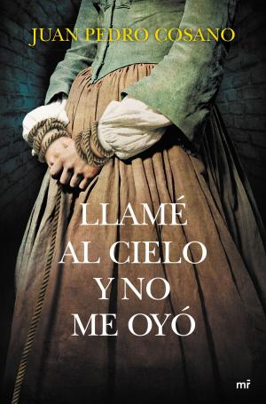 Cover of the book Llamé al cielo y no me oyó by J. M. Guelbenzu