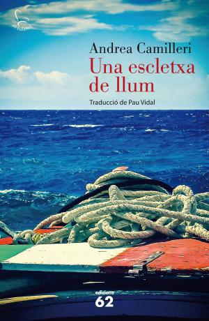 Cover of the book Una escletxa de llum by Carme Riera
