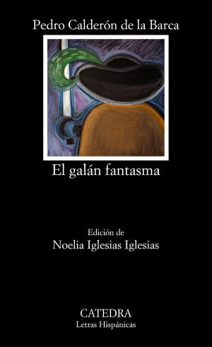 Cover of the book El galán fantasma by Manie van der Westhuizen