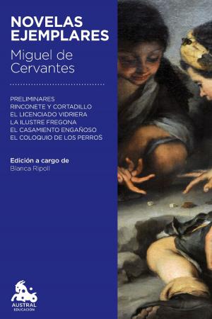 Cover of the book Novelas ejemplares by Eugenio Garin