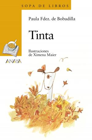Cover of the book Tinta by Jordi Sierra i Fabra