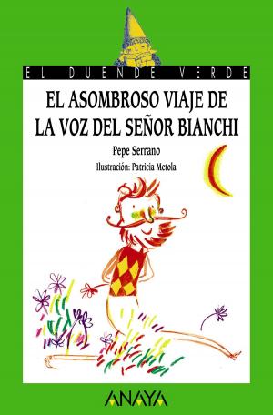 Cover of the book El asombroso viaje de la voz del señor Bianchi by Ana Alonso