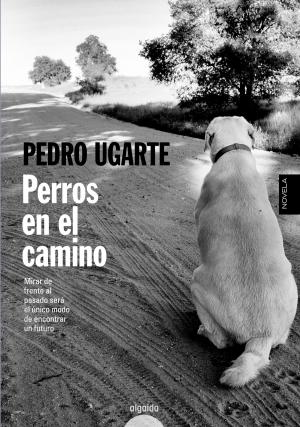Cover of the book Perros en el camino by Jerónimo Tristante