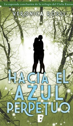 Cover of the book Hacia el azul perpetuo (Cielo Eterno 3) by María Luz Gómez