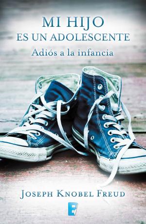 Cover of the book Mi hijo es un adolescente by Джон Мерфи